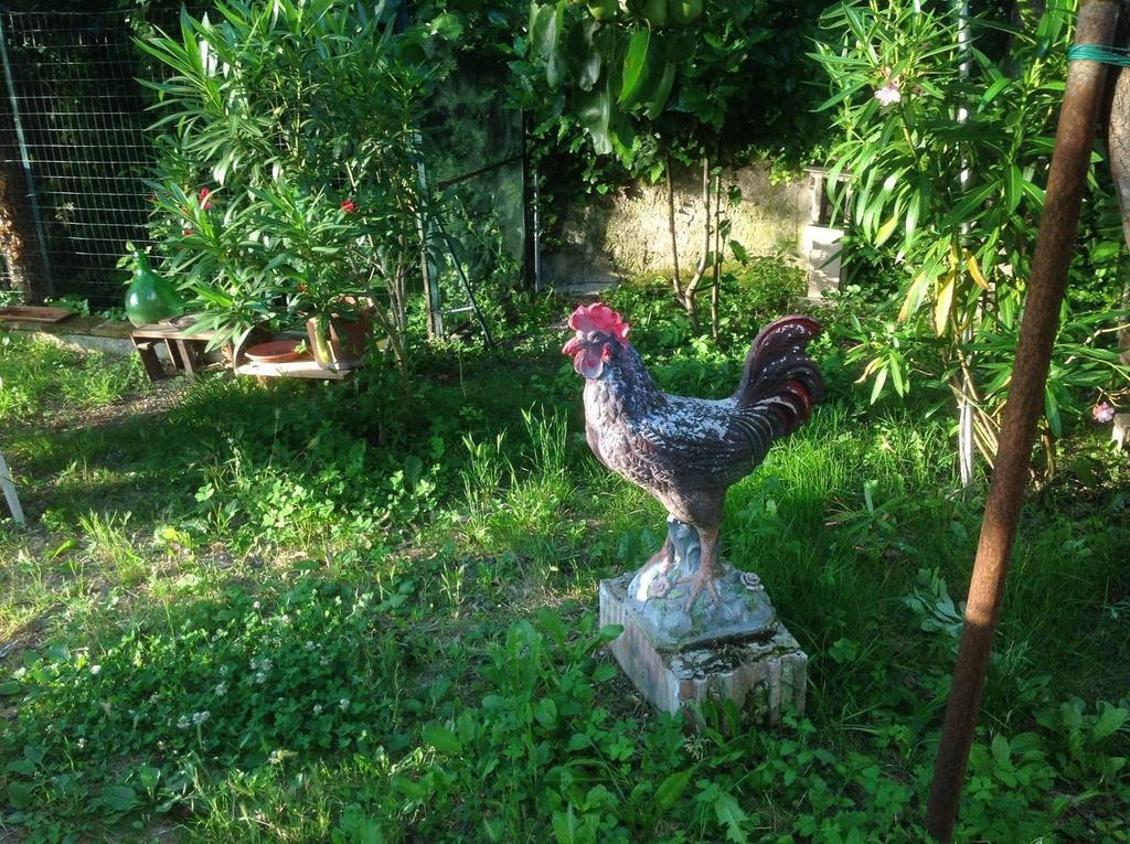 Il Giardino Del Gallo Foligno Exterior photo